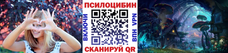 Псилоцибиновые грибы мицелий  Купить закладки  Лысково 
